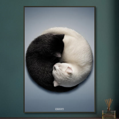 Schwarze und weiße Katze im Yin Yang auf einem Poster im Metallrahmen