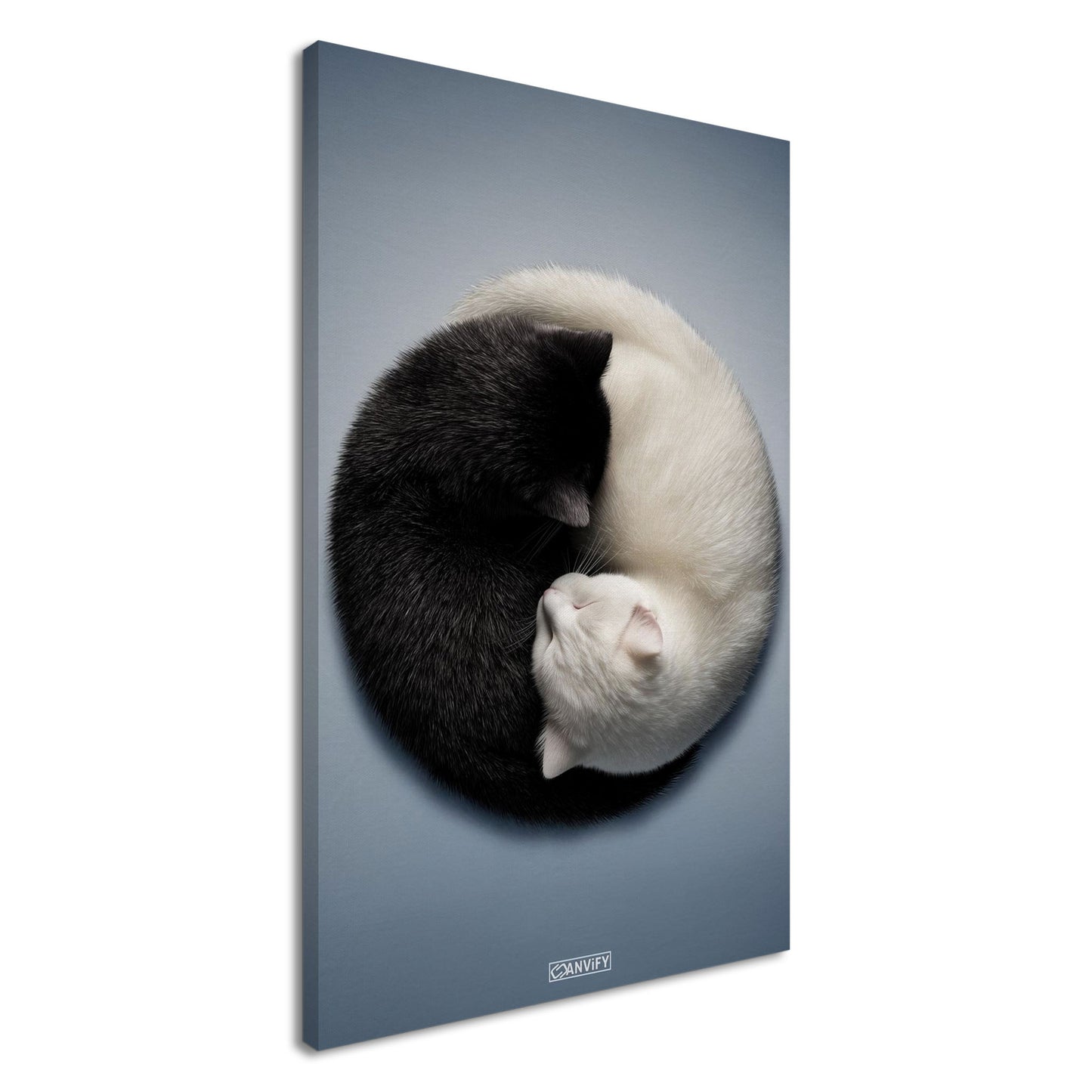 Schwarze und weiße Katze im Yin Yang auf einer Leinwand